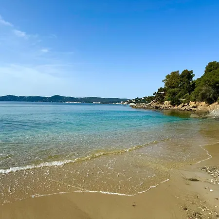 Cosy Devant La Lavandou *